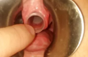 XXX 二つの鶏のスパイセックステナントと火曜日を要求するホステス えろ 動画 一徹