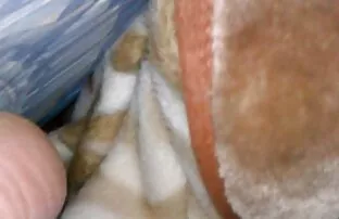 XXX ハゲにパンストジャンプで 鈴木 一徹 えろ 動画